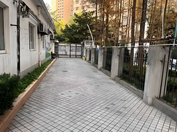 袁姗姗哀牢山“上班记”：当明星特权遇上蚂蟥